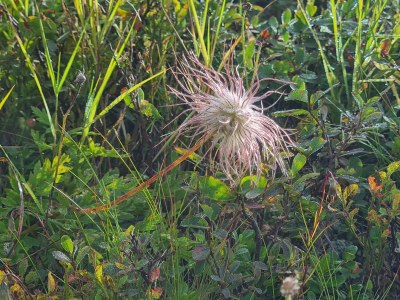 Apartment Ferienhaus, Dusche, WC, 4 oder mehr Schlafräume - Outdoor photo 21