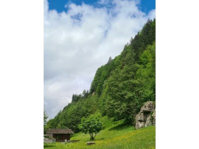 Apartment Ferienhaus, Dusche, WC, 4 oder mehr Schlafräume - Outdoor photo 29