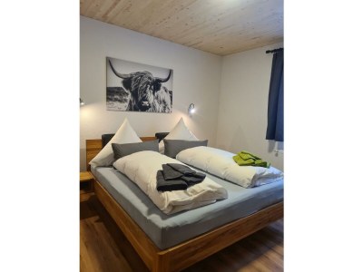 Apartment Ferienhaus, Dusche, WC, 4 oder mehr Schlafräume - Features photo 73