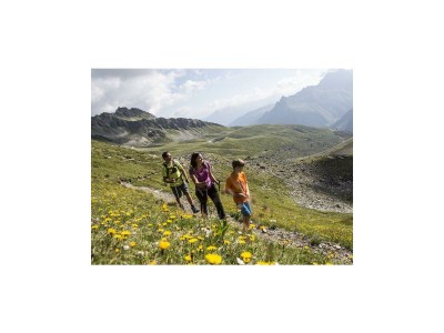Holiday room Zimmer Nr. 3 "Alpenveilchen" mit Dusche, WC - Outdoor photo 26