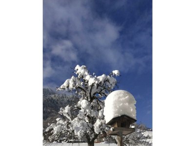 Holiday room Doppelzimmer mit Dusche/WC - Outdoor photo 10