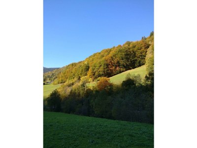 Holiday room Doppelzimmer mit Dusche/WC - Outdoor photo 41