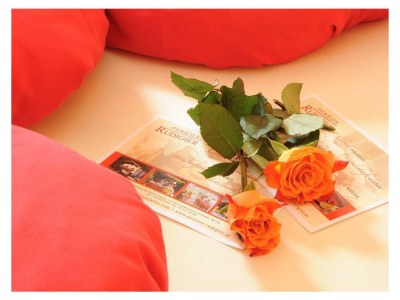 Holiday room Doppelzimmer mit Dusche, WC inkl. Frühstück - Features photo 35