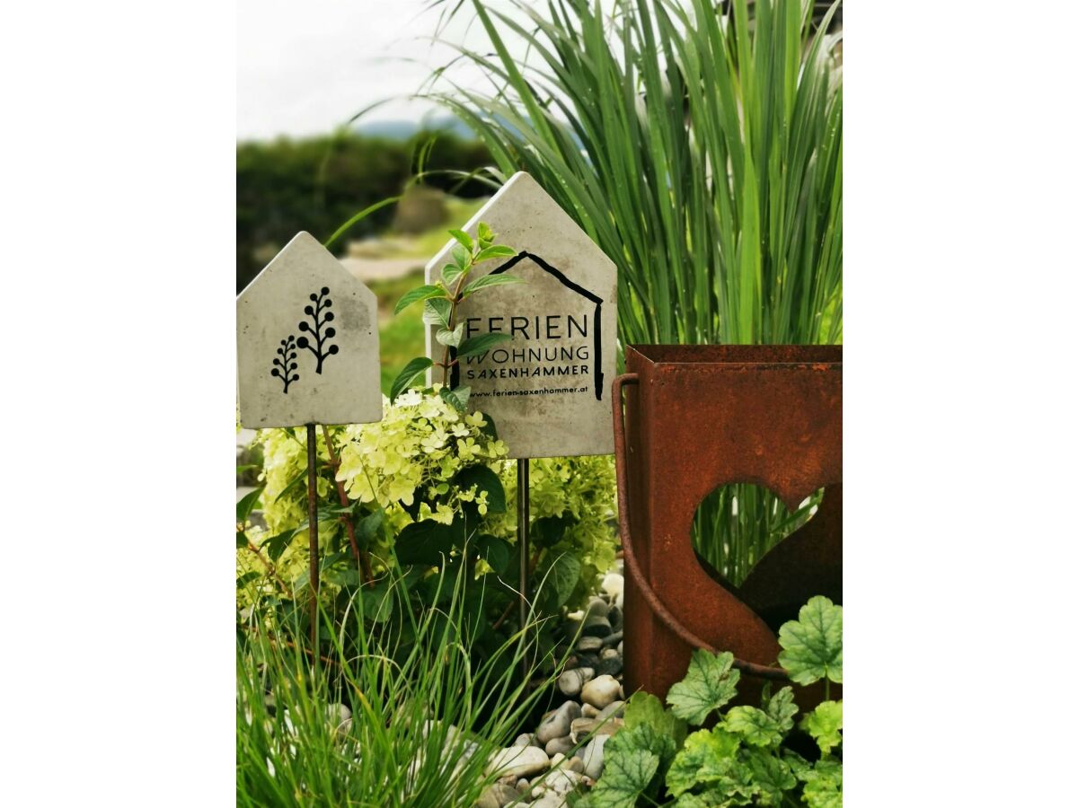 Apartment Appartement/Fewo, Dusche, WC, 1 Schlafraum - Outdoor photo 5