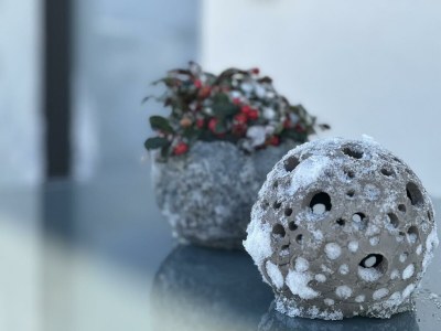 Apartment Appartement/Fewo, Dusche, WC, 1 Schlafraum - Outdoor photo 15