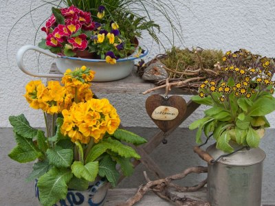 Apartment Apartment/2 Schlafräume/Dusche, WC - Outdoor photo 11