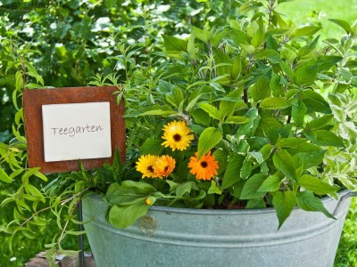 Apartment Apartment/2 Schlafräume/Dusche, WC - Outdoor photo 12