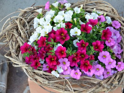 Apartment Apartment/2 Schlafräume/Dusche, WC - Outdoor photo 19