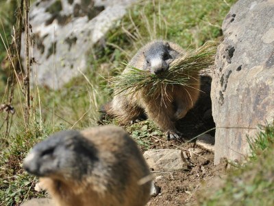 Apartment Apartment/2 Schlafräume/Dusche, WC - Outdoor photo 22