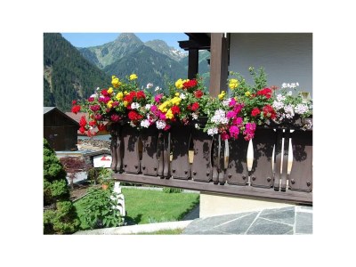 Apartment Zamangspitze - Outdoor photo 7