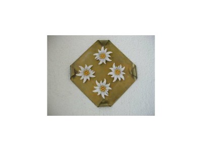 Apartment Zamangspitze - Outdoor photo 18