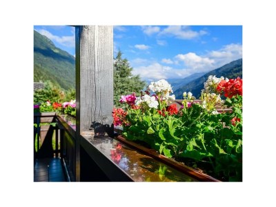 Apartment Zamangspitze - Outdoor photo 29