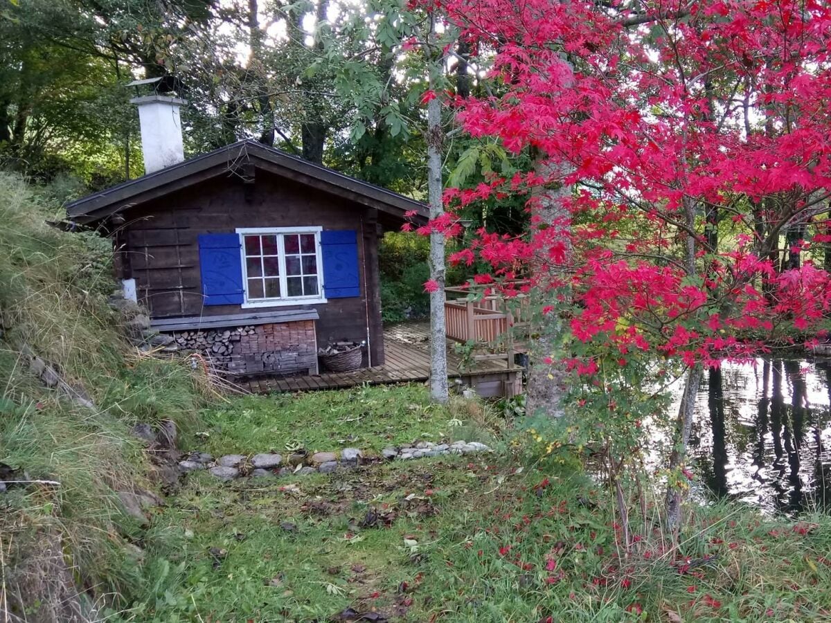 Apartment Appartement/Fewo, Dusche, WC, 1 Schlafraum