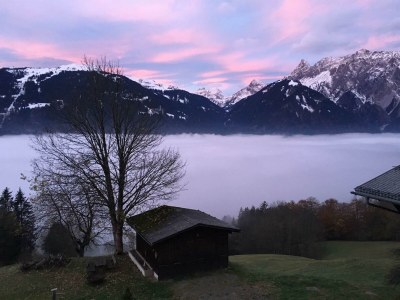 Apartment Appartement/Fewo, Dusche, WC, 1 Schlafraum - Outdoor photo 6