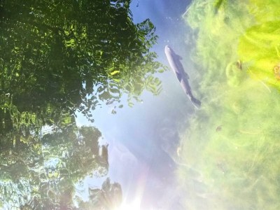 Apartment Appartement/Fewo, Dusche, WC, 1 Schlafraum - Outdoor photo 15