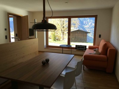 Apartment Appartement/Fewo, Dusche, WC, 1 Schlafraum - Features photo 17