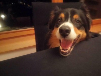 Apartment Appartement/Fewo, Dusche, WC, 1 Schlafraum - Features photo 21