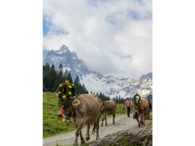 Apartment Kapellblick - Outdoor photo 33