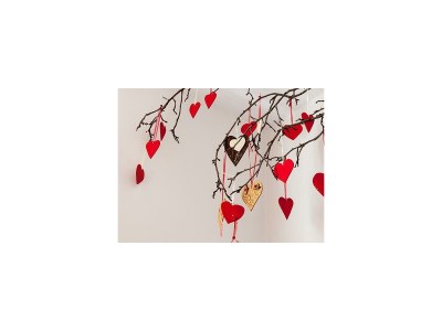 Apartment Apartment/1 Schlafraum/Dusche, WC - Outdoor photo 13