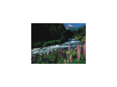 Apartment Apartment/1 Schlafraum/Dusche, WC - Outdoor photo 19