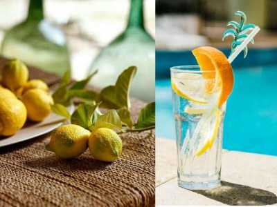 Villa Casa dei Limoni with pool - Environment photo 26