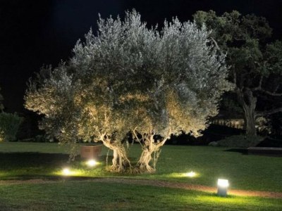 Villa Casa dei Limoni with Pool green - Environment photo 28