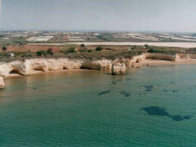 Holiday house Casa delle Palme al Mare - Environment photo 3
