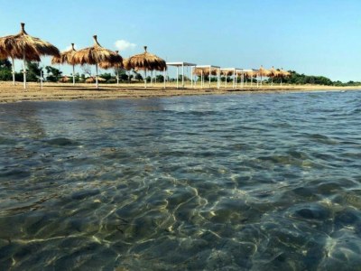 Holiday house Casa delle Palme al Mare - Environment photo 5