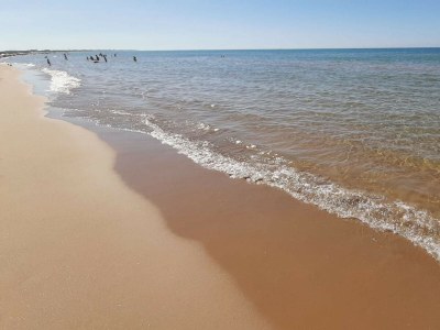 Holiday house Casa delle Palme al Mare - Environment photo 6