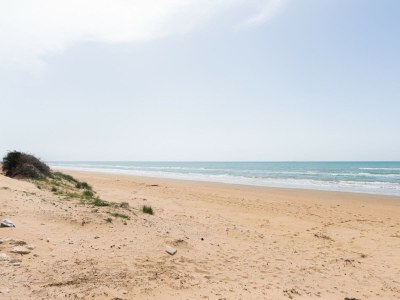 Holiday house Casa delle Palme al Mare - Environment photo 7