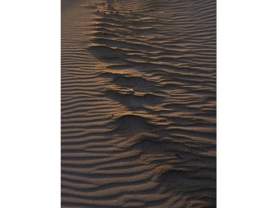 Holiday house Maison Bravè - Environment photo 38