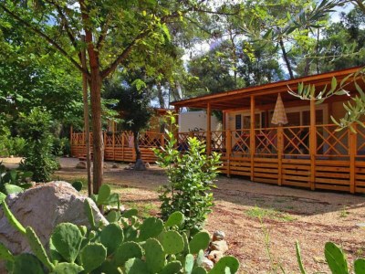 Holiday park Mobile homes in Camp Soline at Biograd - Outdoor photo 5