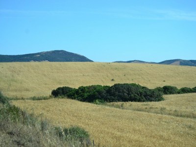 Villa Villa in Alghero mit Pool & Stadtnähe - Environment photo 22