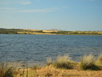Villa Villa in Alghero mit Pool & Stadtnähe - Environment photo 23