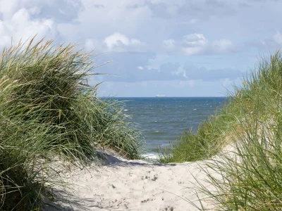 Holiday apartment in Roseneck House 3 - Environment photo 19