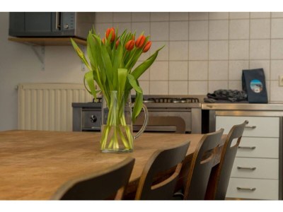 Holiday house Holiday Home Zoutelande near the Beach - Features photo 13