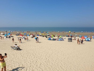 Holiday house Holiday Home Zoutelande near the Beach - Environment photo 29