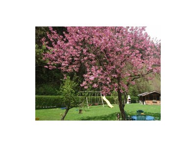 Apartment Panoramablick - Outdoor photo 6