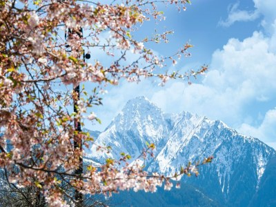 Apartment Apartment Kaltenbach near Ski Paradise - Environment photo 30