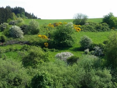Apartment 4-Bett-Ferienhaus Dusche/WC, 2 Schlafräume - Outdoor photo 7