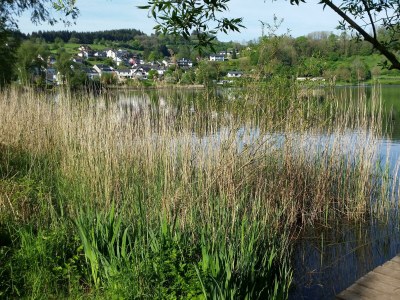 Apartment 4-Bett-Ferienhaus Dusche/WC, 2 Schlafräume - Outdoor photo 12