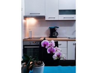 Holiday apartment Apartman Julija - Features photo 24