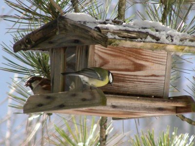 Holiday house Ferienhaus, Bad, WC, 3 Schlafräume - Outdoor photo 9