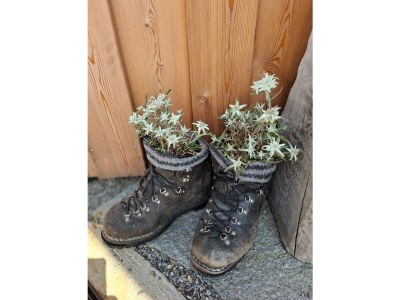 Apartment Maple View for 2 people - Outdoor photo 8