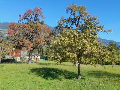 Apartment Chalet Keßler - Outdoor photo 8