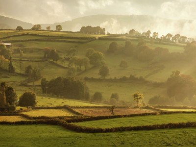 Holiday house Ferienhaus in Vitry-Laché am See - Environment photo 29