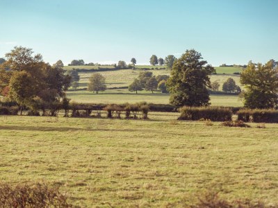 Holiday house Ferienhaus in Vitry-Laché am See - Environment photo 30