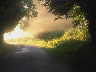 Holiday house Ferienhaus in Vitry-Laché am See - Environment photo 32