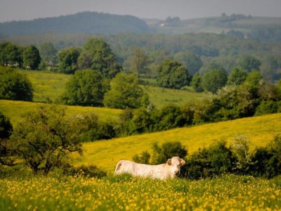 Holiday house Ferienhaus in Vitry-Laché am See - Environment photo 34