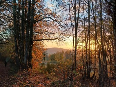 Holiday house Ferienhaus in Vitry-Laché am See - Environment photo 37